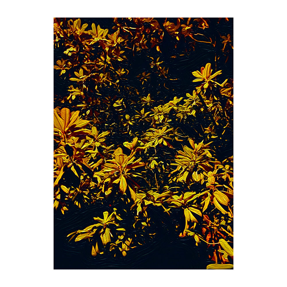 "Depth" - The "I Love Eureka" Photography Print Series