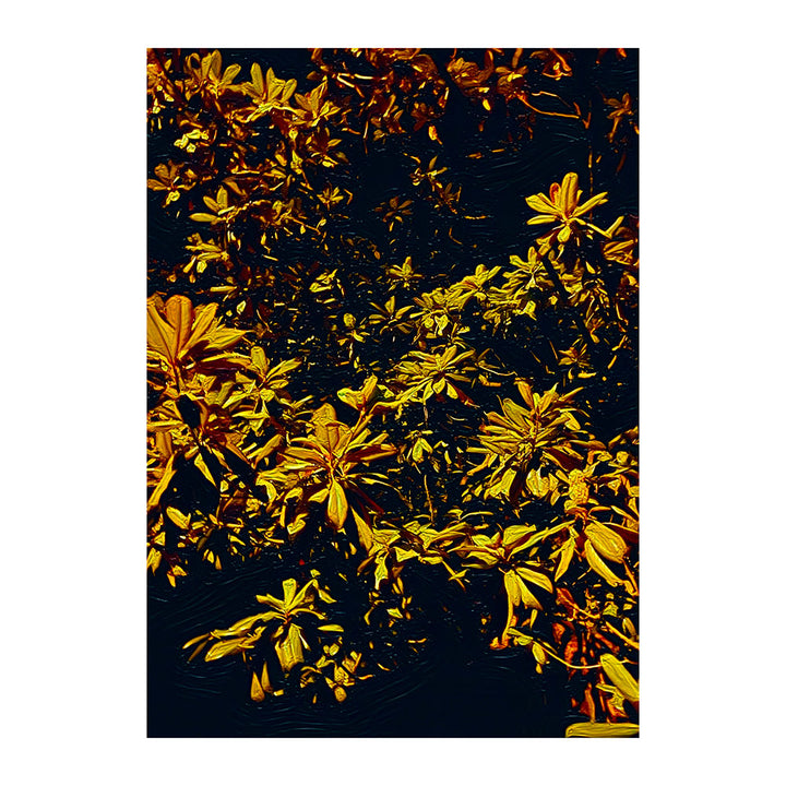 "Depth" - The "I Love Eureka" Photography Print Series