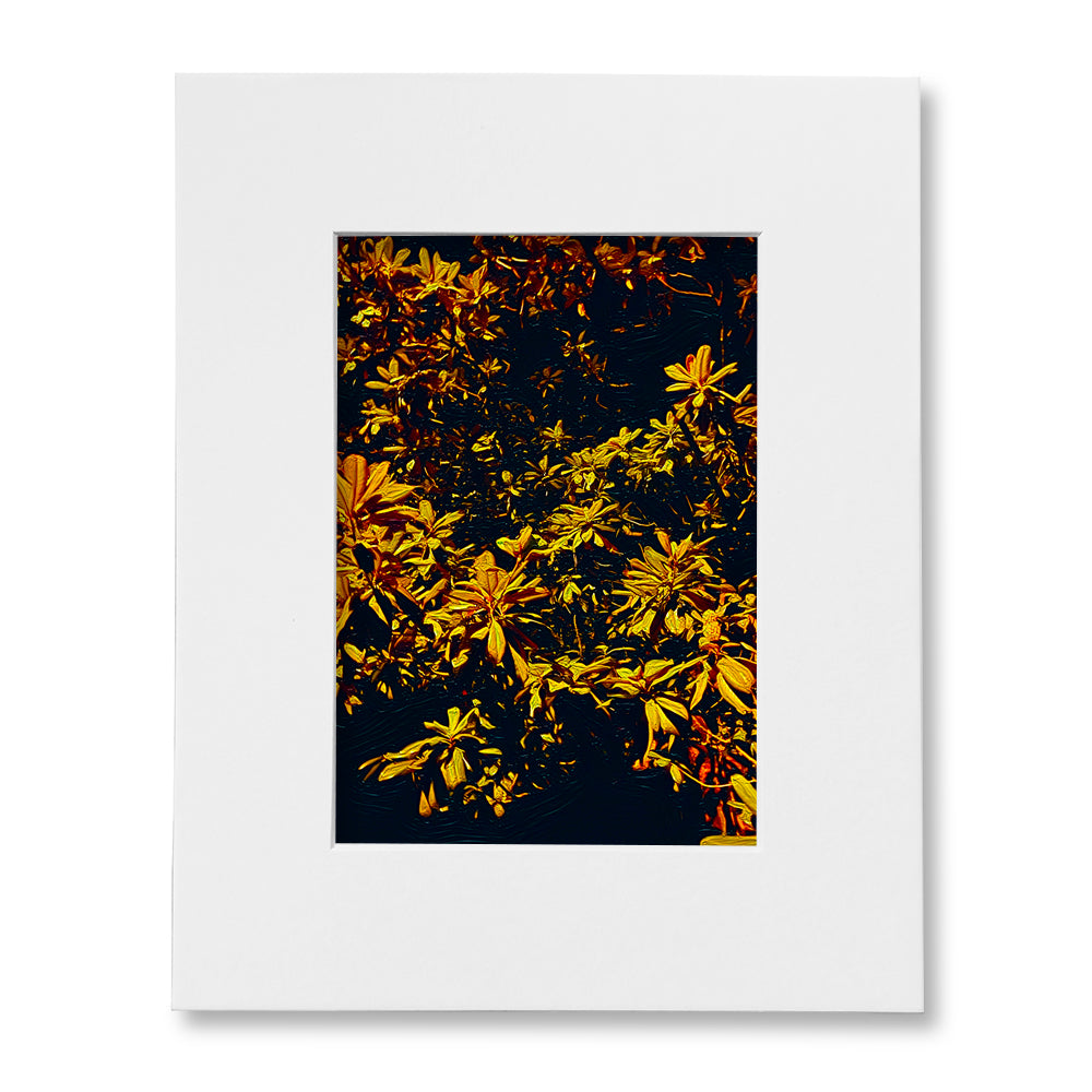 The "I Love Eureka" Photography Print Series - Depth, Matted