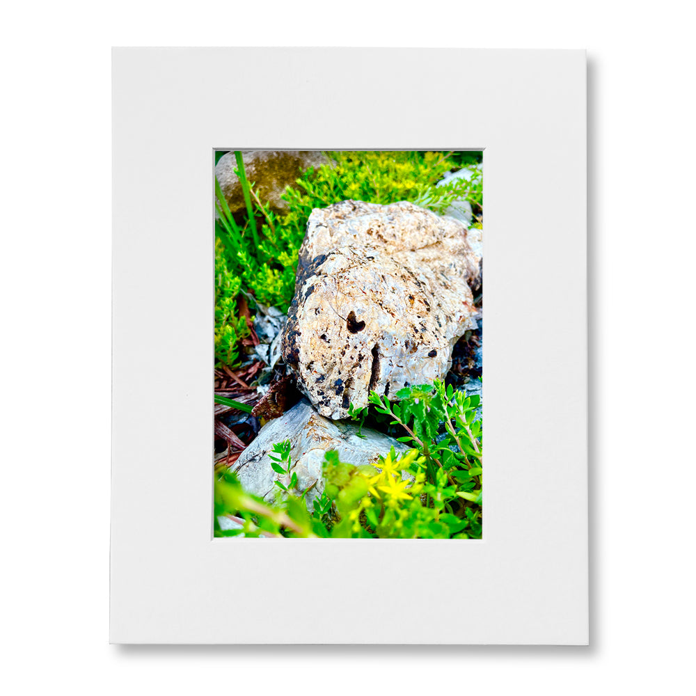 The "I Love Eureka" Photography Print Series - Garden Rock, Matted