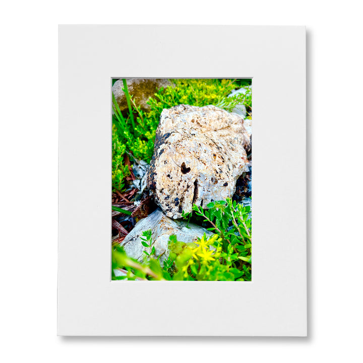 The "I Love Eureka" Photography Print Series - Garden Rock, Matted