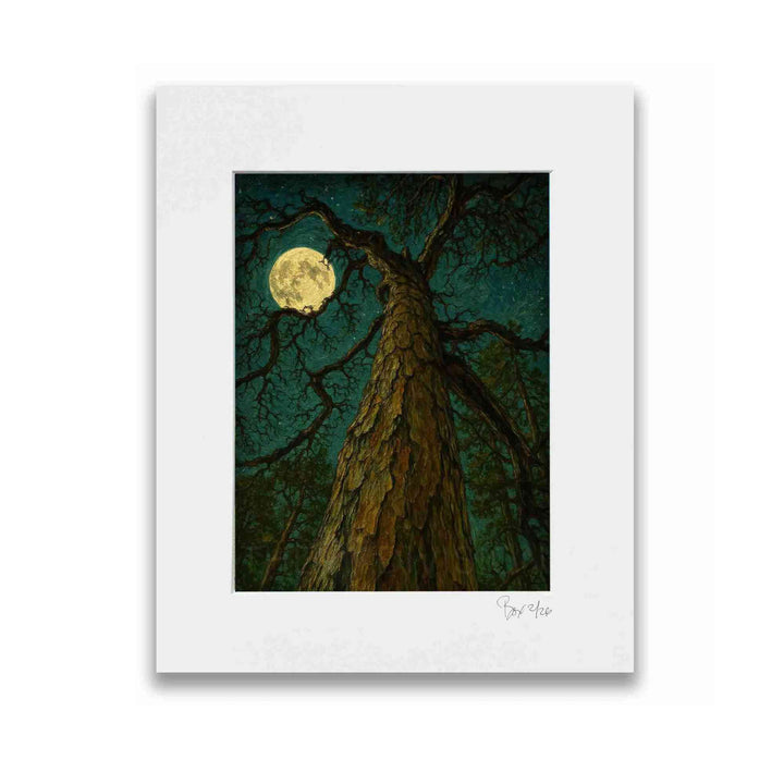 Moonlight Belongs to Dreamers: Love Letters to Eureka, #2 The Queen of Hemlock Grove, Matted 11x14 Flat Print