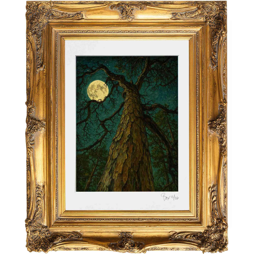 Moonlight Belongs to Dreamers: Love Letters to Eureka, #2 The Queen of Hemlock Grove, Matted 11x14 Flat Print