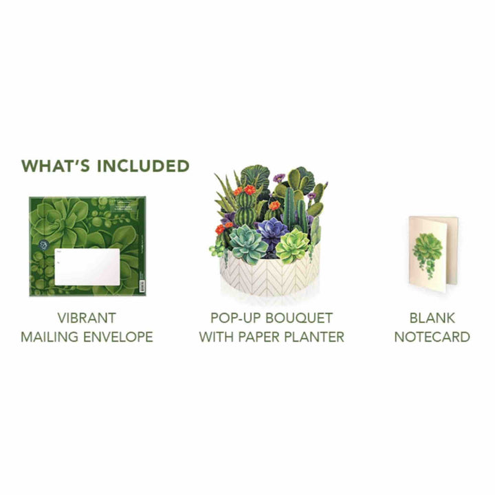 Cactus Garden Pop-Up Greeting Card by FreshCut Paper