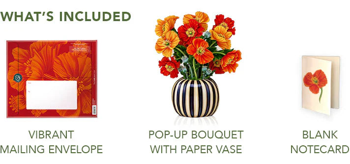 French Poppies Pop-Up Greeting Card by FreshCut Paper