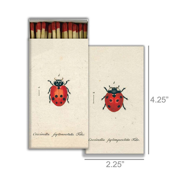 Ladybug Matches Sizing Image