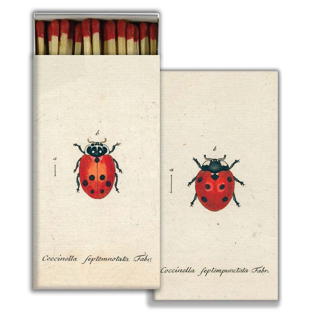 Ladybug Matches Main Image