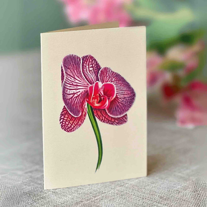 Orchid Oasis Pop-Up Greeting Card by FreshCut Paper