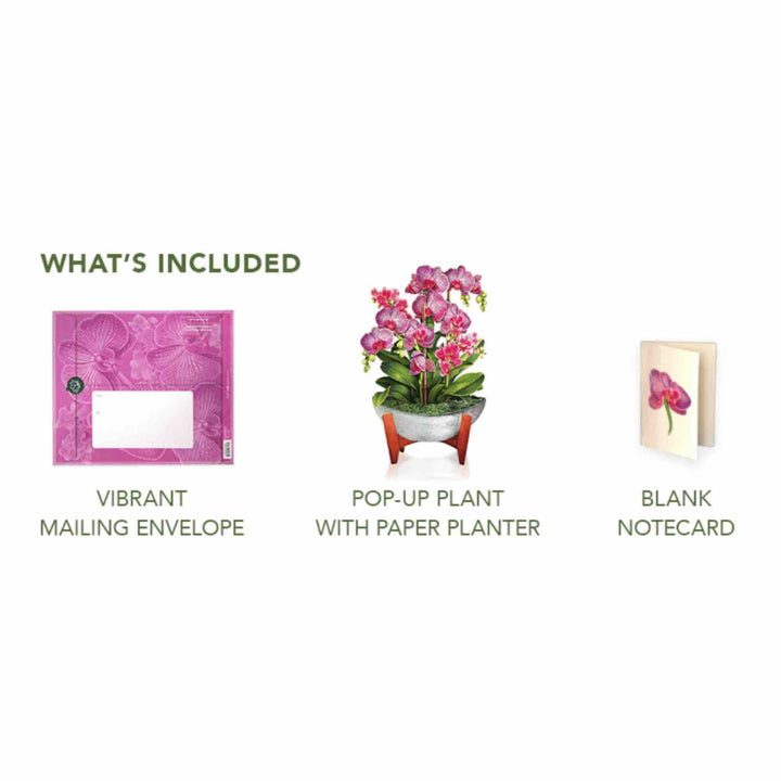 Orchid Oasis Pop-Up Greeting Card by FreshCut Paper