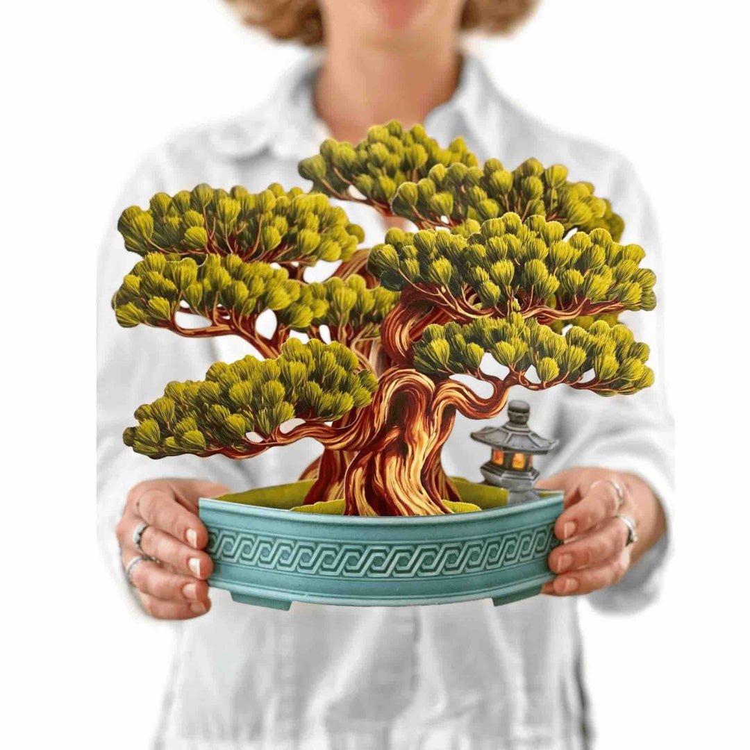 Pop-up greeting card featuring a sculpted bonsai tree with delicate blossoms.