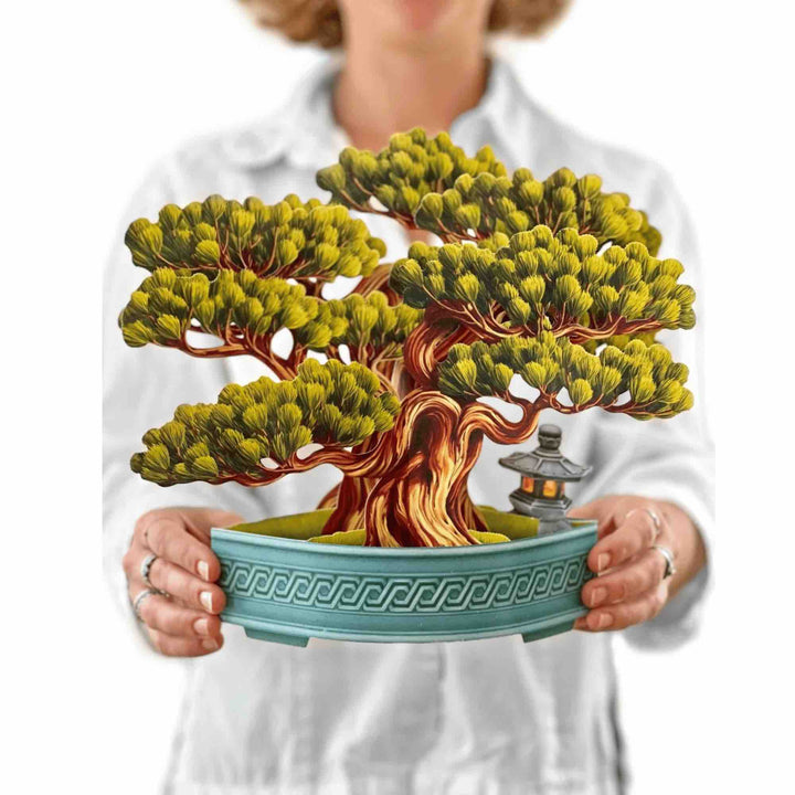 Pop-up greeting card featuring a sculpted bonsai tree with delicate blossoms.