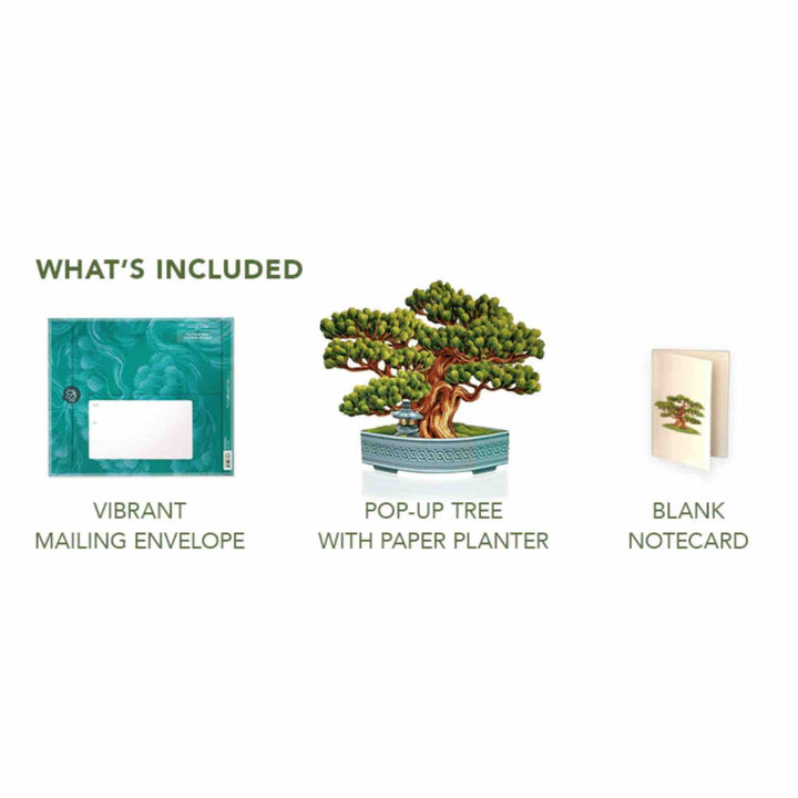 Wisdom Bonsai Pop-Up Greeting Card by FreshCut Paper